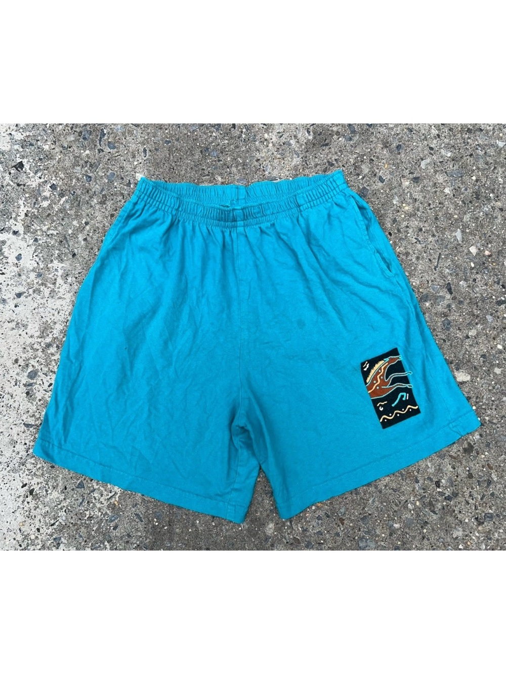 Vintage Cactus Bay Aqua Blue Horse Design Shorts L